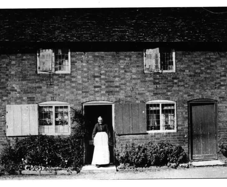 File:Mrs halstead no 15.jpg