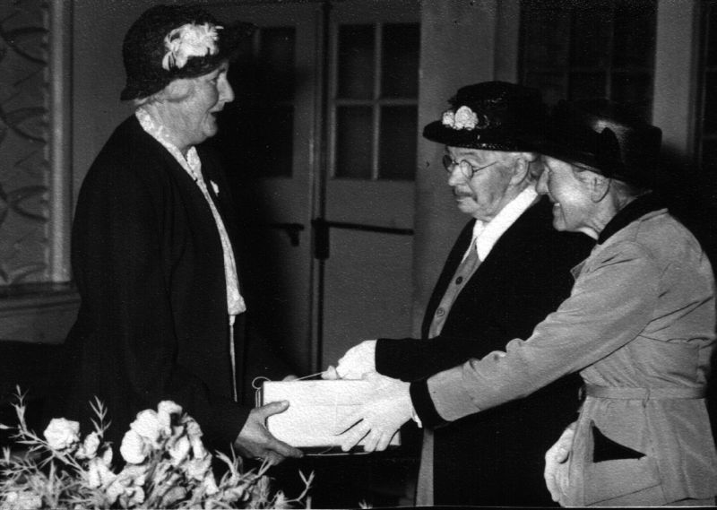 File:Fanny salmon 90 1-small.jpg
